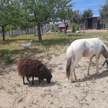 Le Due Sorelle Semesterbostad