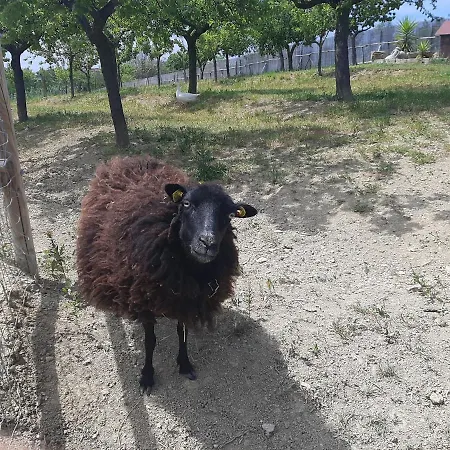 Le Due Sorelle Semesterbostad