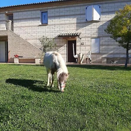 Ferienhaus Le Due Sorelle Ancona