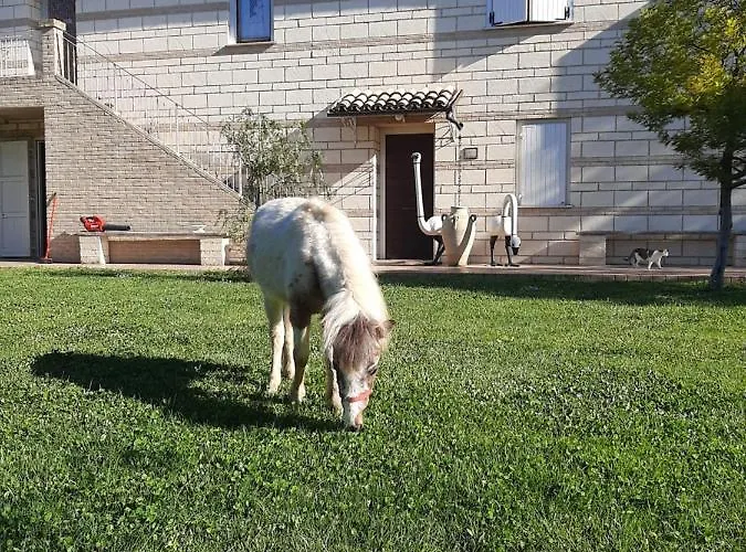 Casa de Férias Le Due Sorelle Ancona