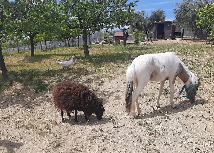 Le Due Sorelle Casa de Férias